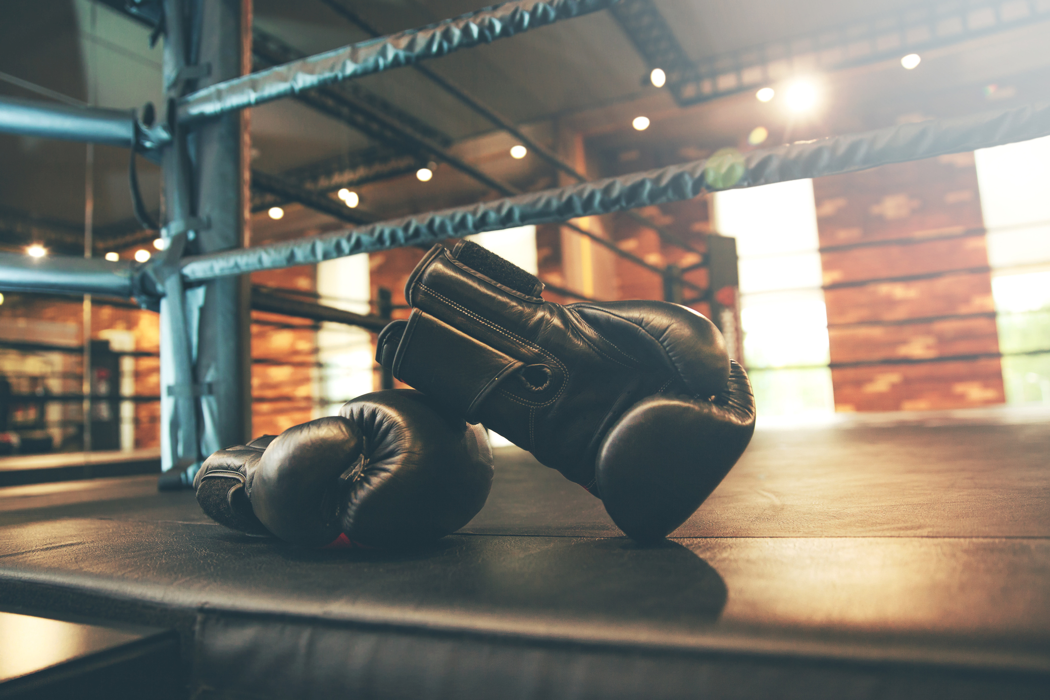 Boxhandschuhe
