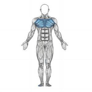 Kettlebell Wechselnde Bodenpresse