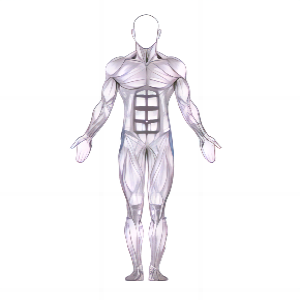 Lateral Walk mit Widerstandsband