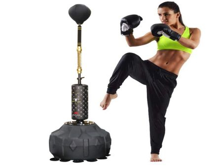 Boxen & MMA